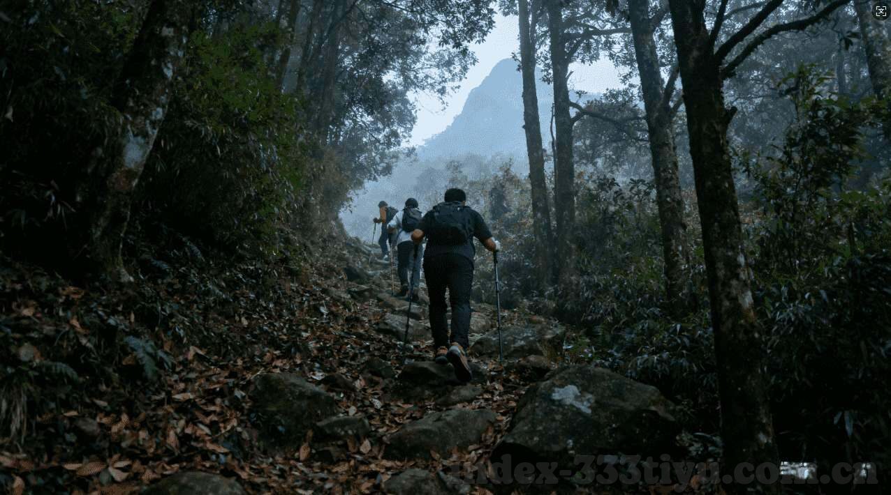 世界杯殿堂 新浪-新浪体育携手世界杯殿堂，共筑全球球迷狂欢盛宴
